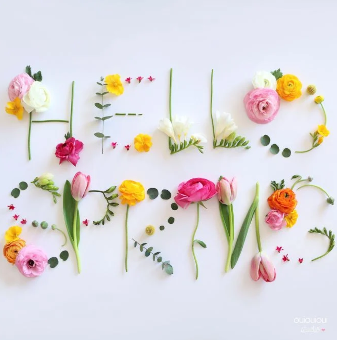 The 6 most beautiful spring flowers to color the house